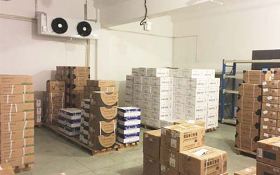 网络连接过程中发电机组和故障现象的定相技术研究_no.1180