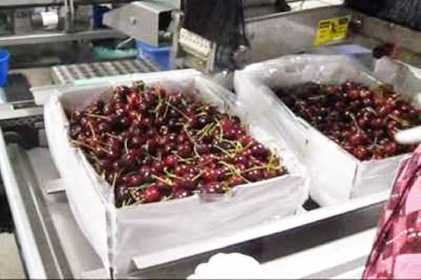 高职院校计算机组装与维护的教学实践与思考_no.1565