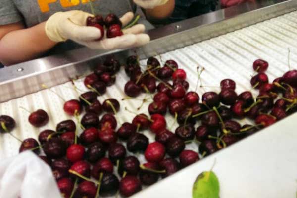 AV7116同轴能量回收装置的应用介绍_no.276