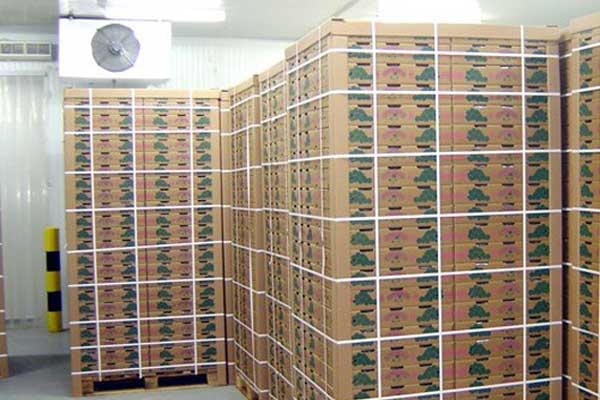 西门子SINAMICSDCM整流器在单元电源中的应用_no.376