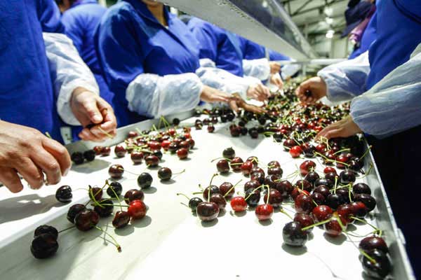 热单元冷却塔节能改造的技术分析_no.472