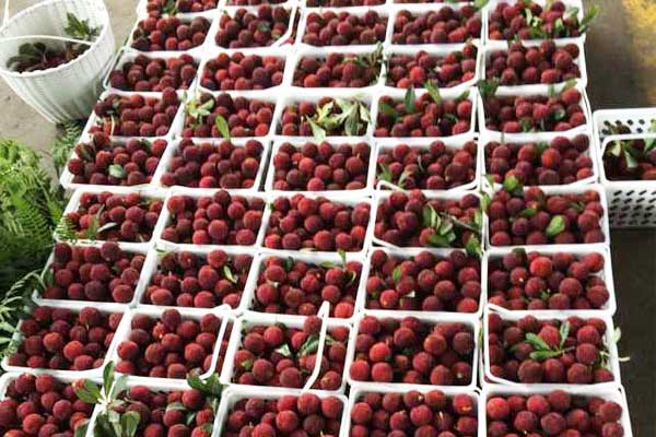 防止蒸汽进入机组M701F蒸汽机的分析及对策_no.475