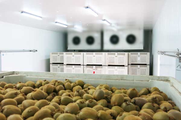 AV7116同轴能量回收装置的应用介绍_no.639