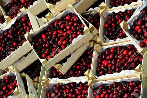 工厂和旁路事故的分析和处理_no.657