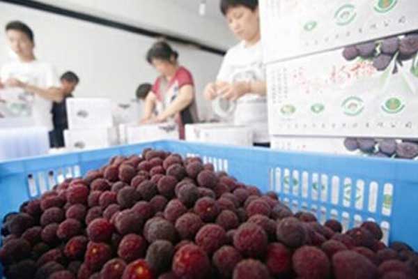 多功能电解铝绝缘检测系统分析_no.822