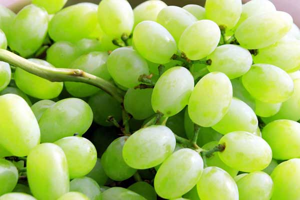 水利工程中水电厂的异常运行分析及处理措施_no.895