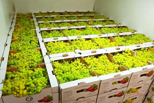 大型抽水蓄能机组现场启动调试技术及应用探讨_no.897