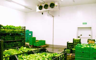 汽轮发电机组振动分析与处理_no.911