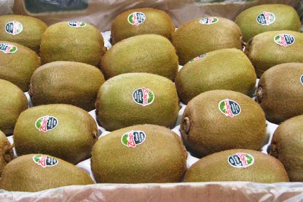 市场条件下火力发电厂能源系统分析的探讨_no.985