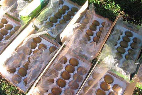 完全热回收的风冷模块装置在酒店中的应用分析_no.986