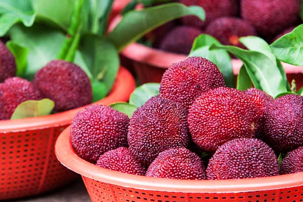 谈论改善300 MW汽轮机机组经济状况的措施_no.995