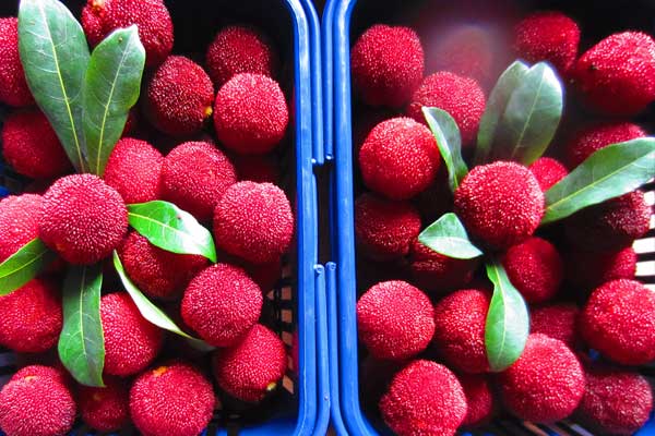 加氢器组的安装过程和注意事项_no.998